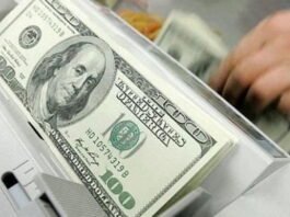 Descubre el valor actual del dólar en México